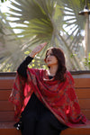 Kani Allure Stole - Red