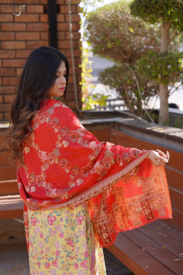 Kani Allure Stole - Orange