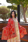 Kani Allure Stole - Orange