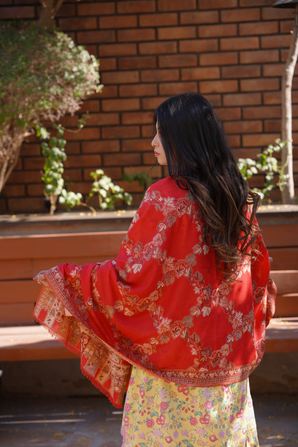 Kani Allure Stole - Orange
